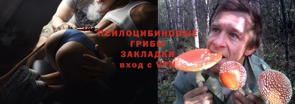 сатива Богородск