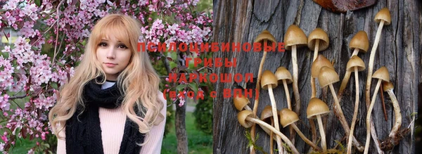 мефедрон Богородицк