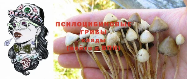 сатива Богородск