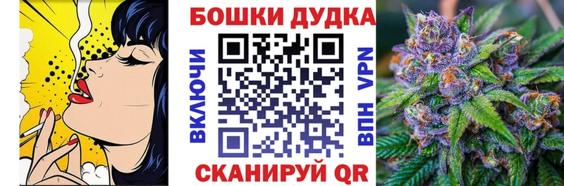 hydra как войти  Щигры  Конопля гибрид  купить наркотики цена 